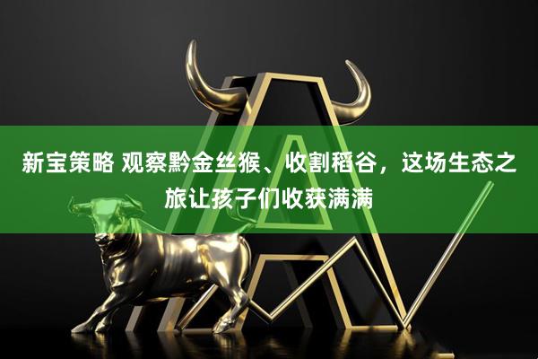 新宝策略 观察黔金丝猴、收割稻谷，这场生态之旅让孩子们收获满满