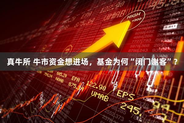 真牛所 牛市资金想进场，基金为何“闭门谢客”？