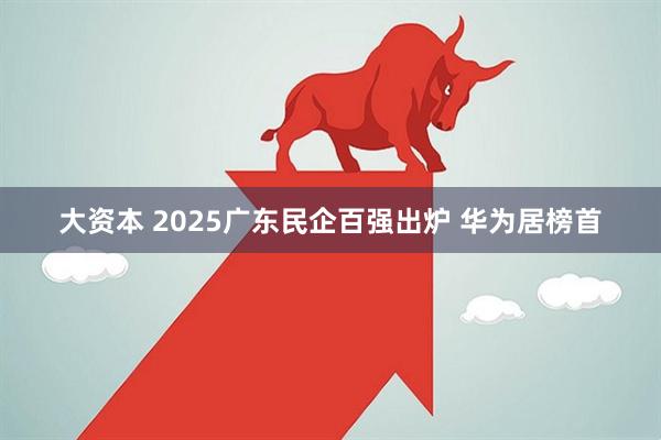大资本 2025广东民企百强出炉 华为居榜首