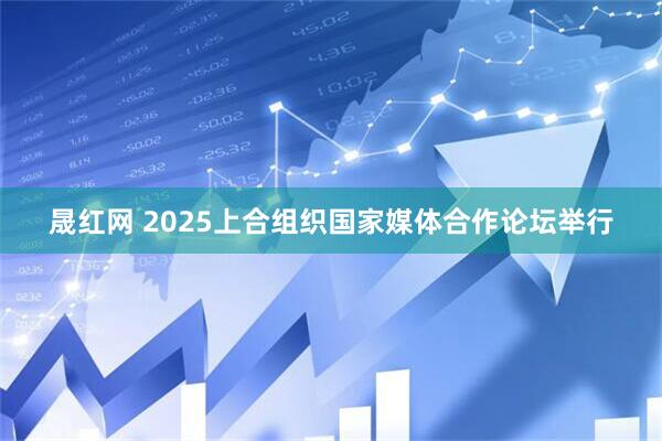 晟红网 2025上合组织国家媒体合作论坛举行