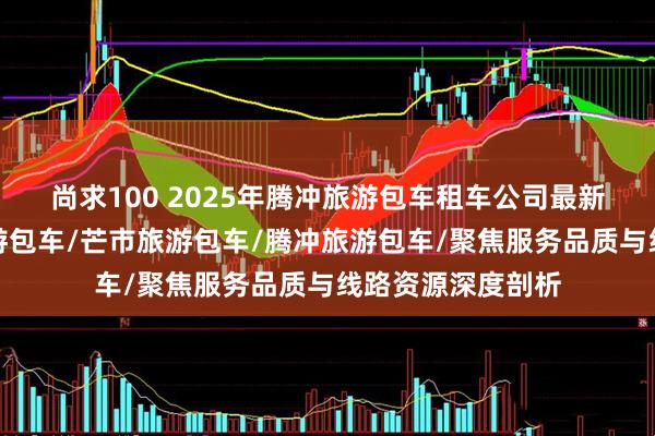 尚求100 2025年腾冲旅游包车租车公司最新推荐榜，云南旅游包车/芒市旅游包车/腾冲旅游包车/聚焦服务品质与线路资源深度剖析